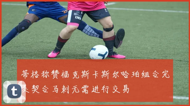 蒂格称赞福克斯卡斯尔哈珀组合完美契合马刺无需进行交易